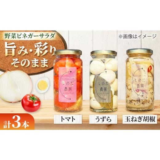 ふるさと納税 缶詰・瓶詰 愛知県 愛西市 野菜ビネガーサラダ 3本(うずら・トマト・玉ねぎ黒胡椒) ピクルス 常備菜 おかず 愛西市 / しのだ農園-SHINODA FAR…