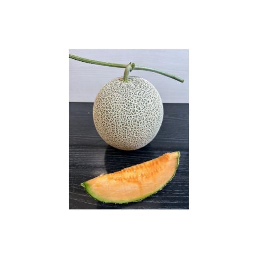ふるさと納税 メロン 北海道 富良野市 北海道富良野産 赤肉メロン 約1.6〜2kg×2玉(合計約3.2〜4kg) 1754890