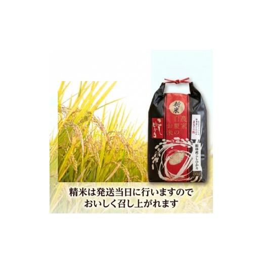 ふるさと納税 米 群馬県 館林市 令和8年産 館林市産こしひかり精米5kg 1738443