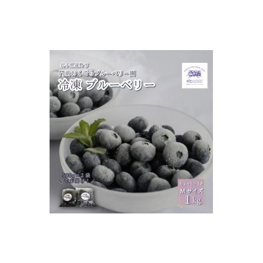 ふるさと納税 果物類 岩手県 遠野市 冷凍ブルーベリー ちょっと小さめ Mサイズ 1kg (500g×2個) 門前おくでらブルーベリー園 1738476