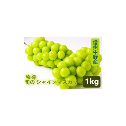 ふるさと納税 ぶどう マスカット 長野県 中野市 厳選 旬のシャインマスカット1kg フルーツ大国信州中野産 1673181