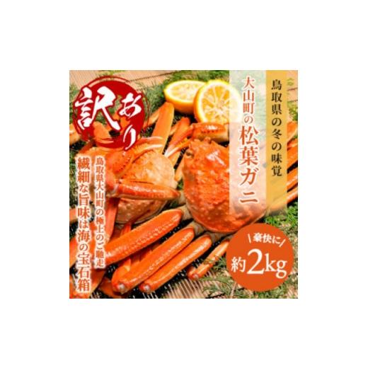 ふるさと納税 カニ ずわいガニ 鳥取県 智頭町 2027年1月以降順次発送 冷凍 訳あり松葉ガニ約2kg詰め合わせ OM-13-2 1745597