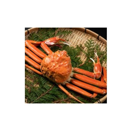 ふるさと納税 カニ ずわいガニ 鳥取県 智頭町 11月中旬以降順次発送 ブランドタグ付ボイル松葉ガニ(LL 約1kg) OM-25 1745610