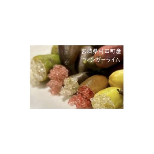 ふるさと納税 みかん・柑橘類 宮城県 村田町 宮城県村田町産 フィンガーライムMIX 100g×1パック 1747195
