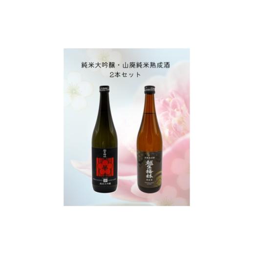 ふるさと納税 日本酒 純米大吟醸酒 埼玉県 越生町 越生梅林 旨味たっぷり2本セット 1707801