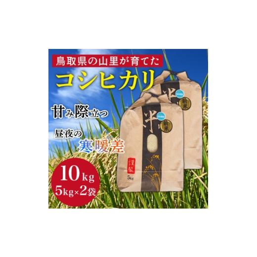 ふるさと納税 玄米 鳥取県 伯耆町 令和8年産 鳥取県産「コシヒカリ」玄米 10kg(5kg×2) 1746453