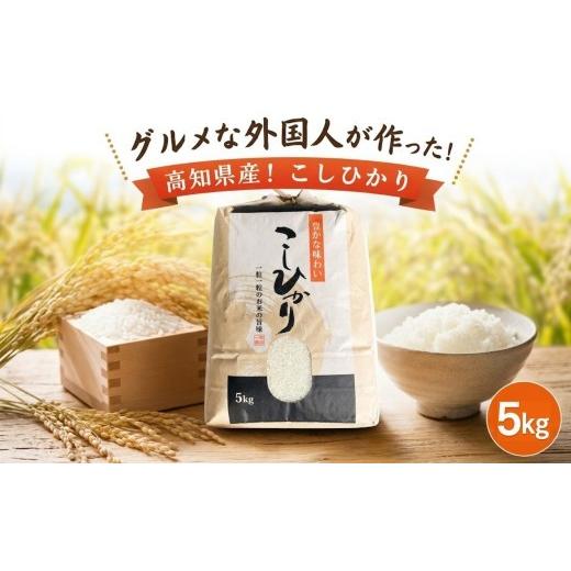 ふるさと納税 米 コシヒカリ 高知県 黒潮町 [2025年産]コシヒカリ 白米 5kg グルメな外国人 農家 が作った こだわり お米 こしひかり 米 国産米 銘柄米 米5…