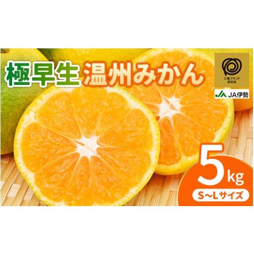 ふるさと納税 果物類 みかん 三重県 熊野市 三重ブランド認定品 みかん JA 極早生 温州みかん 約5kg S〜Lサイズ 光センサー選果 | みかん ミカン 蜜柑 温州み…