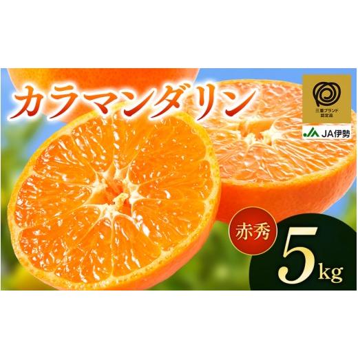 ふるさと納税 みかん・柑橘類 オレンジ 三重県 熊野市 三重ブランド認定品 JA カラマンダリン 赤秀 約5kg L・2Lサイズ | みかん ミカン オレンジ 柑橘 フルー…