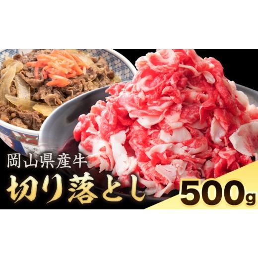 ふるさと納税 牛肉 岡山県 浅口市 岡山県産牛 切り落とし 交雑牛 500g[60日以内に出荷予定(土日祝除く)] 岡山県 浅口市 肉 送料無料 500g(250g×2パック)