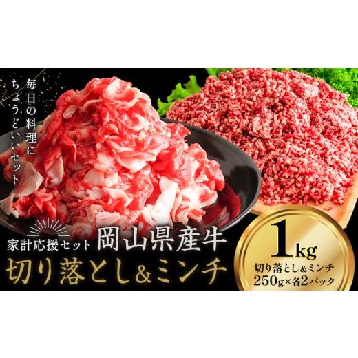 ふるさと納税 牛肉 セット 岡山県 浅口市 牛肉 国産 切り落とし ミンチ セット 家計応援 岡山県産牛 交雑牛 1kg 小分け 1パック250g[60日以内に出荷予定(土日…