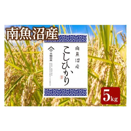 ふるさと納税 米 コシヒカリ 新潟県 南魚沼市 ふるさと納税 令和8年産新米予約 特別栽培米 南魚沼産コシヒカリ 5kg 塩沢産コシヒカリ 銘柄米 精米 こしひか…