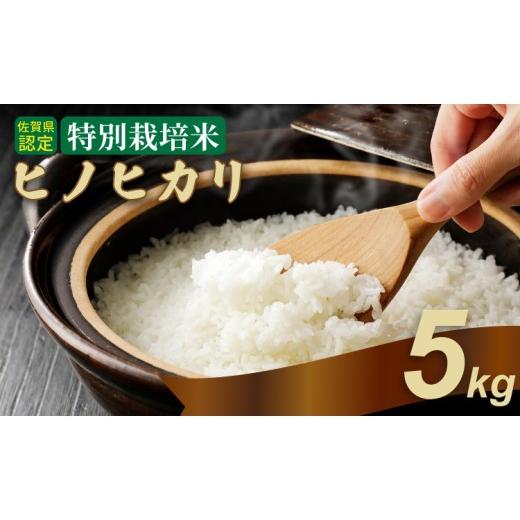 ふるさと納税 米 佐賀県 小城市 令和7年度産 佐賀県認定 特別栽培米 ヒノヒカリ 5kg しもむら農園