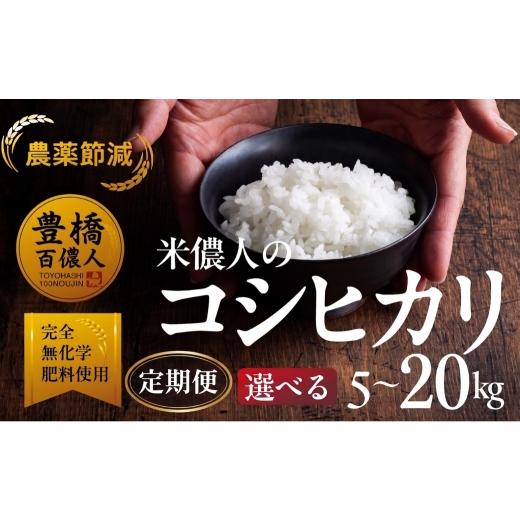 ふるさと納税 米 コシヒカリ 愛知県 豊橋市 令和7年産 コシヒカリ 白米 20kg コシヒカリ こしひかり お米 おこめ コメ 米 こめ kome 20キロ ふるさと納税米 …