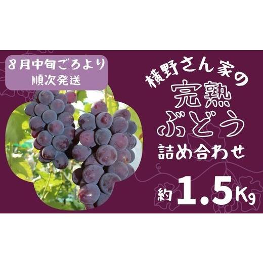 ふるさと納税 果物類 ぶどう 兵庫県 宍粟市 BV1 横野さん家の「完熟ぶどう」の詰合せ 約 1.5kg 数量限定 ブドウ 葡萄 詰め合わせ セット 贈答 藤稔 紫玉 ピ…
