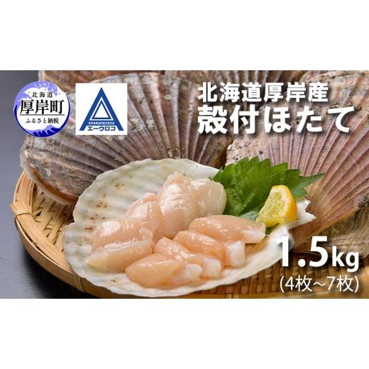 ふるさと納税 魚貝類 ホタテ 北海道 厚岸町 新鮮 北海道 厚岸産 殻付ほたて 1.5kg(4枚〜7枚) ホタテ 帆立 ほたて 産地直送 貝 バーベキュー  