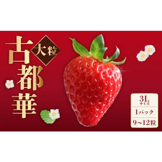ふるさと納税 いちご 奈良県 奈良市 いちご ことか 大粒 9玉以上 1パック 3Lサイズ 2027年発送 古都華 化粧箱 数量限定 苺 イチゴ 季節限定 旬 フルーツ 果物 …