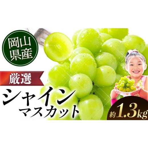 ふるさと納税 ぶどう マスカット 岡山県 矢掛町 2026年発送分 厳選 シャインマスカット 約1.3kg (2-3房)[9月上旬-11月上旬頃出荷] ランキング入賞 おすすめ…