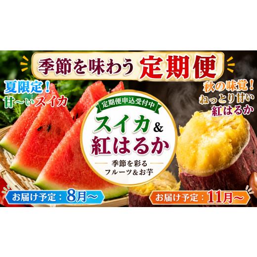 ふるさと納税 スイカ 岩手県 滝沢市 2回 定期便 夏 ・ 秋 スイカ さつまいも 紅はるか 定期便 駿河農園ベジスル 滝沢スイカ すいか スイカ 西瓜 1玉 1玉 2L…