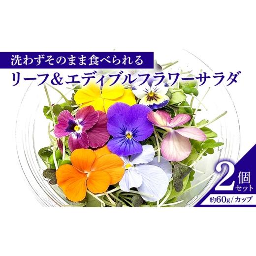 ふるさと納税 加工品等 長野県 上田市 栽培期間中無農薬で安心 屋内水耕栽培で育てたリーフ&エディブルフラワーサラダ×2カップ 信州野菜のマイクロリーフ入…