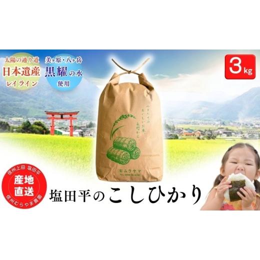 ふるさと納税 米 コシヒカリ 長野県 上田市 こしひかり 3kg 米 塩田平の「晴米」 コシヒカリ こしひかり 精米  