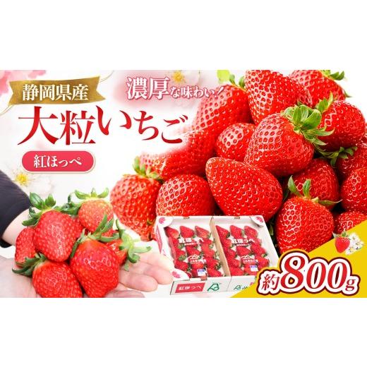 ふるさと納税 いちご 静岡県 伊豆の国市 先行予約/数量限定 新鮮大粒いちご 伊豆紅ほっぺ厳選(約400g×2パック)|いちご 紅ほっぺ 産地直送 静岡県 伊豆の…