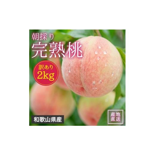 ふるさと納税 もも 和歌山県 海南市 訳あり 森本農園の手選別 桃 2kg