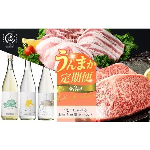 ふるさと納税 牛肉 サーロイン 鹿児島県 志布志市 定期便全3回 "志"あふれるお肉と焼酎コース 志布志うんまか定期便 国産 牛肉 豚肉 黒毛和牛 黒豚 鹿…