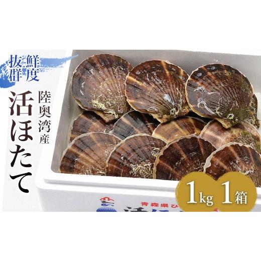 ふるさと納税 魚貝類 ホタテ 青森県 平内町 活ほたて 1kg入 1箱 平内町漁業協同組合 ホタテ ほたて 帆立 活ホタテ 人気 生ほたて 生ホタテ 刺身 貝 貝柱 殻付…