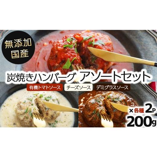 ふるさと納税 肉 ハンバーグ 福岡県 那珂川市 無添加 国産 炭焼き ハンバーグ アソートセット(有機トマトソース、チーズソース、デミグラスソース)