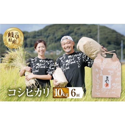 ふるさと納税 米 コシヒカリ 岐阜県 本巣市 3回 定期便 令和8年産 先行予約 コシヒカリ 10kg × 6回 6か月 米 こめ ごはん 白米 岐阜県産 本巣市 お米 精米 …