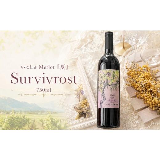 ふるさと納税 ワイン 赤ワイン 長野県 塩尻市 いにしぇMerlot『夏』Survivrost | ワイン いにしぇの里葡萄酒 メルロ 夏 赤 赤ワイン ミディアム 樽熟成 瓶熟 …