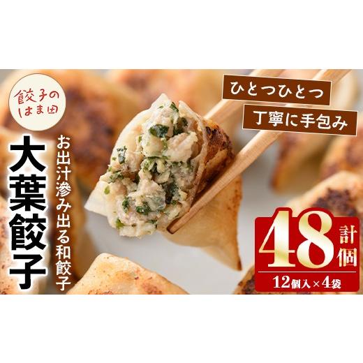 ふるさと納税 餃子 鹿児島県 阿久根市 大葉餃子(12個入×4袋・計48個) 餃子 生餃子 ギョウザ ぎょうざ ギョーザ セット 詰め合わせ おかず お惣菜 冷凍 和風 …