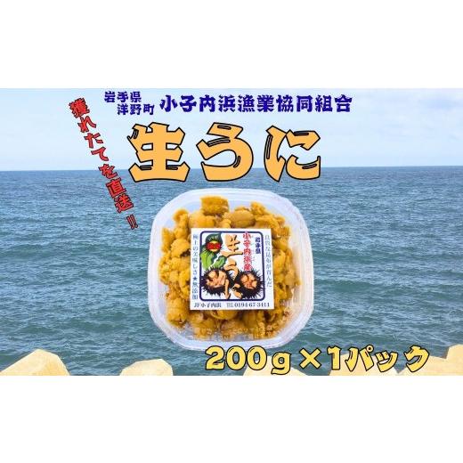 ふるさと納税 ウニ 岩手県 洋野町 「種市産」天然生うに200g×1パック ミョウバン不使用 無添加 北三陸 増殖溝 雲丹 産地直送