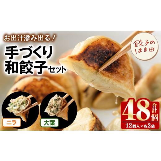 ふるさと納税 餃子 鹿児島県 阿久根市 手づくり和餃子セット(ニラ餃子12個入×2袋+大葉餃子12個入×2袋・合計48個) 餃子 生餃子 ギョウザ ぎょうざ ギョーザ …