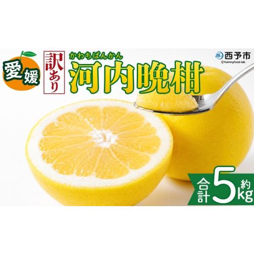 ふるさと納税 みかん・柑橘類 愛媛県 西予市 訳あり 愛媛県産 河内晩柑 約5kg 『2026年4月上旬〜8月下旬迄に順次発送予定』わけあり 訳アリ みずみずしい 和…