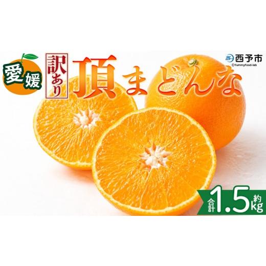 ふるさと納税 みかん・柑橘類 愛媛県 西予市 訳あり 愛媛県産 頂まどんな 約1.5kg 『2026年11月下旬〜1月上旬迄順次発送予定』 わけあり 訳アリ 甘い とろけ…