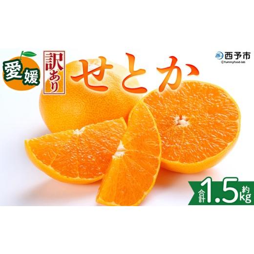 ふるさと納税 みかん・柑橘類 愛媛県 西予市 訳あり 愛媛県産 せとか 約1.5kg 『2027年2月中旬〜5月下旬迄に順次発送予定』わけあり 訳アリ 甘い みかんの大…