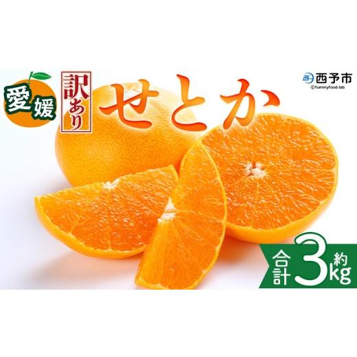 ふるさと納税 みかん・柑橘類 愛媛県 西予市 訳あり 愛媛県産 せとか 約3kg 『2027年2月中旬〜5月下旬迄に順次発送予定』わけあり 訳アリ 甘い みかんの大ト…