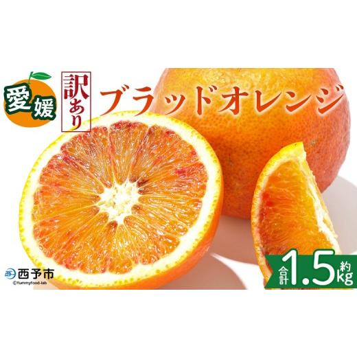 ふるさと納税 みかん・柑橘類 愛媛県 西予市 訳あり 愛媛県産 ブラッドオレンジ 約1.5kg 『2027年2月下旬〜3月下旬迄順次発送予定』わけあり 訳アリ 果汁 ジ…