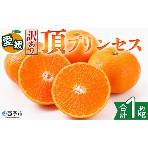 ふるさと納税 みかん・柑橘類 愛媛県 西予市 訳あり 愛媛県産 頂プリンセス 約1kg 『2027年2月下旬〜4月上旬迄に順次発送予定』 わけあり 訳アリ 高級柑橘 こ…