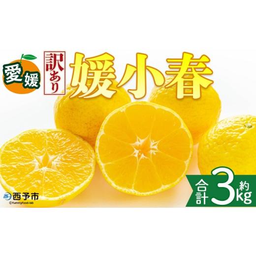 ふるさと納税 みかん・柑橘類 愛媛県 西予市 訳あり 愛媛県産 媛小春 約3kg 『2027年2月上旬〜3月下旬迄順次発送予定』わけあり 訳アリ 希少品種 ひめこはる …