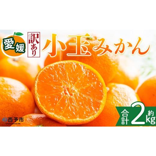 ふるさと納税 みかん・柑橘類 愛媛県 西予市 訳あり 愛媛県産 小玉みかん 約2kg 『2026年11月上旬〜1月下旬迄順次発送予定』 わけあり 訳アリ 濃厚 甘い 小さ…