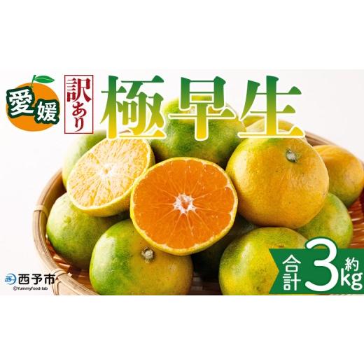 ふるさと納税 みかん・柑橘類 愛媛県 西予市 訳あり 愛媛県産 極早生 約3kg 『2026年10月上旬〜11月下旬迄順次発送予定』わけあり 訳アリ あまずっぱい 甘酸…