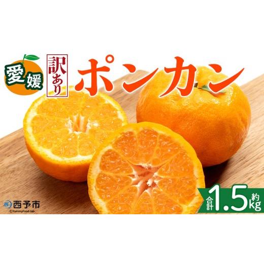ふるさと納税 みかん・柑橘類 愛媛県 西予市 訳あり 愛媛県産 ポンカン 約1.5kg 『2027年1月上旬〜3月上旬迄順次発送予定』 わけあり 訳アリ 果肉 ぽんかん …