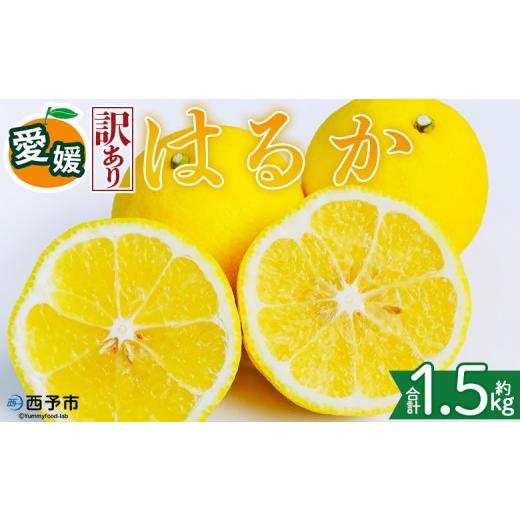 ふるさと納税 みかん・柑橘類 愛媛県 西予市 訳あり 愛媛県産 はるか 約1.5kg 『2027年2月中旬〜3月上旬迄順次発送予定』わけあり 訳アリ 果肉 ハルカ 産地直…
