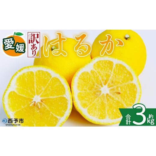 ふるさと納税 みかん・柑橘類 愛媛県 西予市 訳あり 愛媛県産 はるか 約3kg 『2027年2月中旬〜3月上旬迄順次発送予定』わけあり 訳アリ 果肉 ハルカ 産地直送…