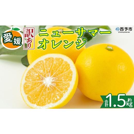 ふるさと納税 みかん・柑橘類 愛媛県 西予市 訳あり 愛媛県産 ニューサマーオレンジ 約1.5kg 『2027年4月上旬〜5月中旬迄順次発送予定』 わけあり 訳アリ ジ…