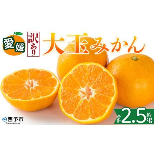 ふるさと納税 みかん・柑橘類 愛媛県 西予市 訳あり 愛媛県産 大玉みかん 約2.5kg 『2026年11月上旬〜1月下旬迄順次発送予定』わけあり 訳アリ 大きい おおだ…