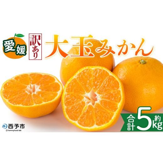 ふるさと納税 みかん・柑橘類 愛媛県 西予市 訳あり 愛媛県産 大玉みかん 約5kg 『2026年11月上旬〜1月下旬迄順次発送予定』わけあり 訳アリ 大きい おおだま…